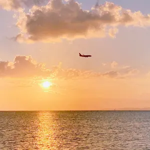 Aimeine cocodeal 肩リボン付きオールインワン (ライトベージュ