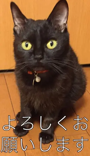 SLOBE IENA TYPE2 F2ミリタリージャケット フリーサイズ　生成 SLOBE IENA TYPE2 F2ミリタリージャケット フリーサイズ 生成