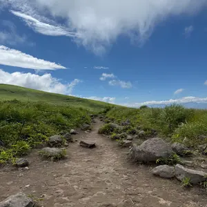 ドラゴンボールが好きなライ