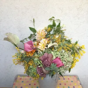 ミィ③★10kgうすいえんどう露地栽培 ミィ様専用③☆10kgうすいえんどう露地栽培 - メルカリ