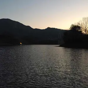 GIOS ジオス FIGARO ミニベロ 美品 広島市内配達可 引き取り限定