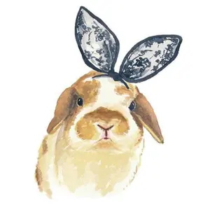 みやの