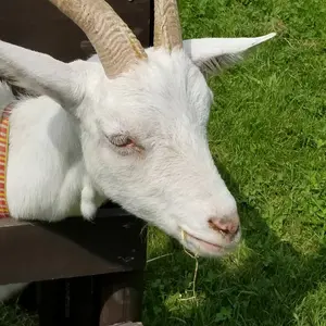 錦織一清 Cafe Uncle Cinnamon BOX - メルカリ