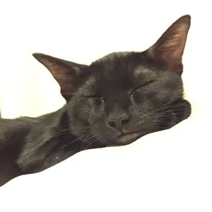 トップス HEUGN twelve Rob India Print Fabric HEUGN twelve Rob India Print Fabric - メルカリ