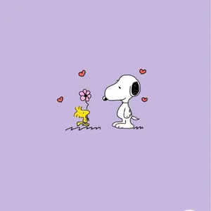 VTコスメティックス PORNツヤ発光セット メガ割 限定BOX - メルカリ