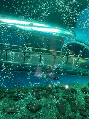 たから様完成品確認用】甲斐田晴 四神衣装のイヤリングと扇子 コスプレ