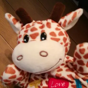 エミリー様専用 ワールドレップ 加湿空気清浄機とアースボール50個