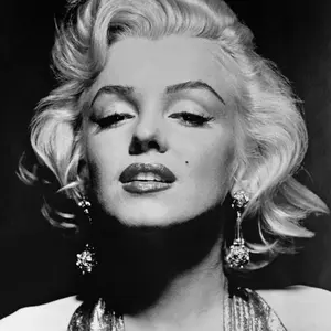 完売品】STUDIOUS別注 Needles トレーナー ヘビーウェイト M - メルカリ