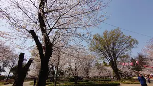 ミニ四駆 モーター慣らし機2台まとめ サンダー モーター ブート