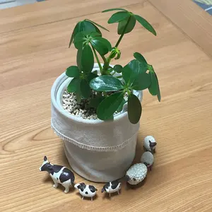 新品✨️ ジョルジオアルマーニ ノーカラージャケット ペプラム