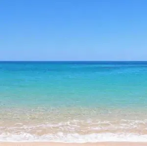 banana★おまとめ値引きします。