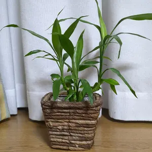 お値下げしました 価値有る一品紬の和服 - メルカリ