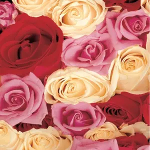 saaaa♡プロフ必読