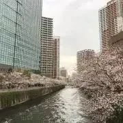 郷土玩具 廃絶 奈良井からくり 藤屋 にわとり - メルカリ
