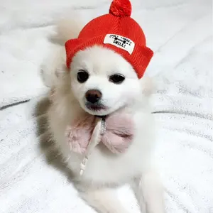 【sherry】ミーアキャット ショウガラゴ 犬 羊毛フェルト ストラップ sherry様専用】ミーアキャット ショウガラゴ 犬 羊毛フェルト