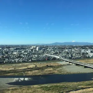 封印 未開封 郎 白酒 53% 500ml 赤色パッケージ - メルカリ