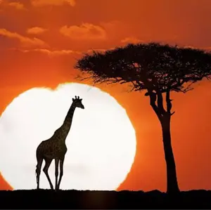 SomAbito GRINDLODGE GF8 PINT GLASS - メルカリ