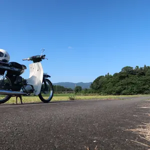 YAMAHA FZ750 最終モデル 3KS 逆輸入100ps フルカウル - メルカリ