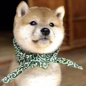 Lo☆残量多☆9点セット Neil de Dance ネイルデダンス フルーリア Lo☆残量多☆9点セット Neil de Dance ネイルデダンス フルーリア Lo