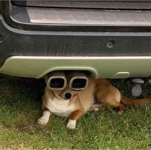 美品　PYZEL パイゼル　PHANTOM ファントム　千葉手渡し可能 美品 PYZEL パイゼル PHANTOM ファントム 千葉手渡し可能 美品 PYZEL