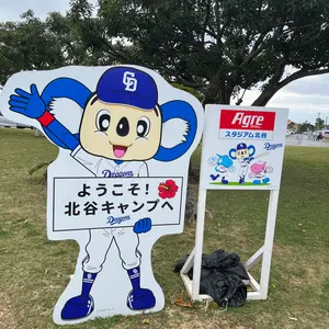 よっしー様 リクエスト 2点 まとめ商品 - メルカリ