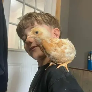 70s デカオム×ハリスツイード テーラードジャケット 川久保本人期