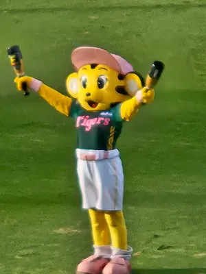 阪神タイガース 2025 優勝記念くじ アクリルスタンド[佐藤輝明