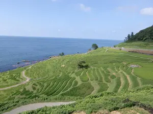 松本清張 「蒼い描点」 初版本・昭和34年・光文社・帯付 - メルカリ