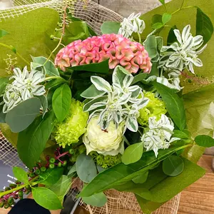 ブルーロック32巻カレンダーポストカード ミヒャエル・カイザー