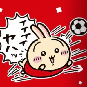 新品未使用】北海道コンサドーレ札幌 WINNING連結チャーム - メルカリ