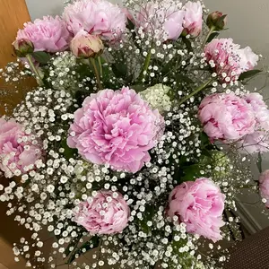 ＊lulu.felice...＊