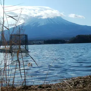 スノーマン　（3/25〜4/2出荷不可）