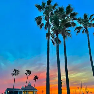 ワーム セット 計26点 カバースキャット FLAG170 デプス レイド