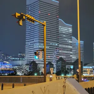 マレ180 ピンクバックホロ 魚じゃらし工房 - メルカリ