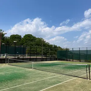 バボラ ピュアドライブ ウィンブルドン G2 美品 ウーファー2.0付属