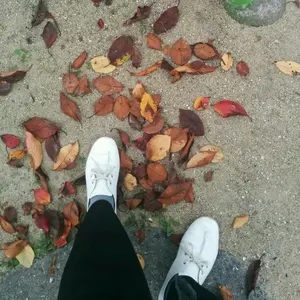 美品　ポロラルフローレン　近年モデル　ケーブル編み　ロングカーディガン　黒　M POLO RALPH LAUREN Polo Ralph Lauren ポロラルフローレン