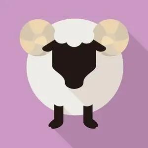 nonちゃん