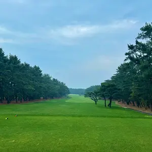 グリップ矯正クラブ[エリートグリップTrace Pro (ブラック)装着