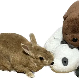 田中圭 アクスタセット 9種 田中圭 アクスタ - メルカリ