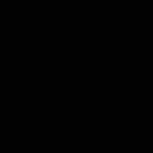BLACK FLYS ブラックフライズ 眞木蔵人 木村拓哉 サングラス 人気