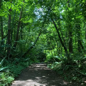 soso様専用】 FC東京 長倉 幹樹 オーセンティック Lサイズ 未開封