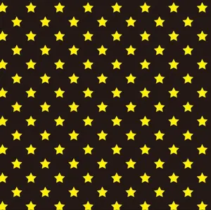 大判 60s VINTAGE The Stars and Stripes 星条旗 - メルカリ