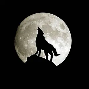 lycee リセ HOOKSOFT SR 桧山璃子 4枚セット - メルカリ