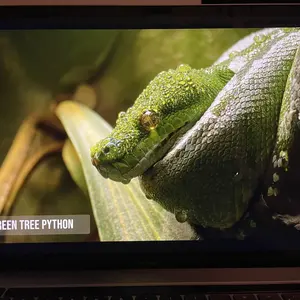 「美品」 MacBook Air 2020 充電回数57回97％、大容量：1TB 美品」 MacBook Air 2020 充電回数57回97％、大容量：1TB - メルカリ