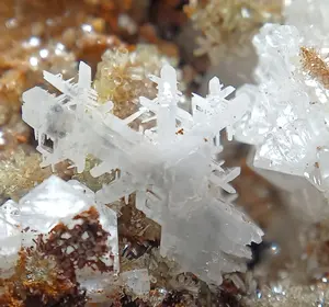 ダイヤモンド キンバーライト 原石 接着標本 キンバリー岩 鉱物標本