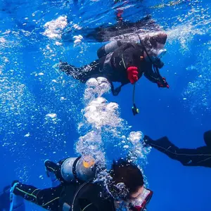 denden116様用【裁断済】整形外科専門医へのminimal requir - メルカリ