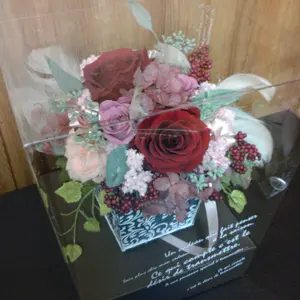 第4種発送/ポットごと発送/ネフロレピス＊ボストンファーン - メルカリ