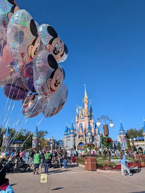 週末セール！【フロリダ限定】WDW新作 ショルダーバッグ サコッシュ