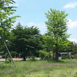 覚醒ゴン 神Ω アルカ・ゾルディック ミラバト - メルカリ