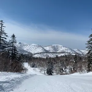 VIRGO SPECIAL V2B JKT サイズ2 カーキ - メルカリ